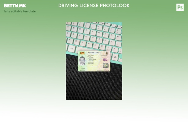 Модерен стил на Шри Ланка DL photolook FRONT шаблон